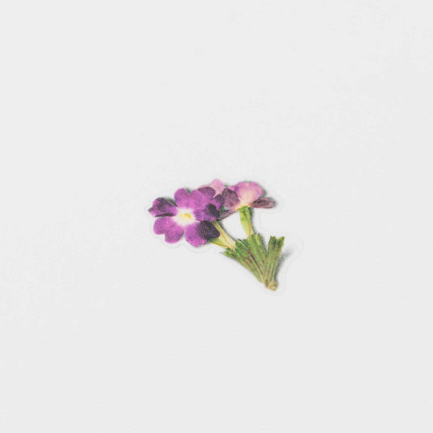 押し花シール バーベナ