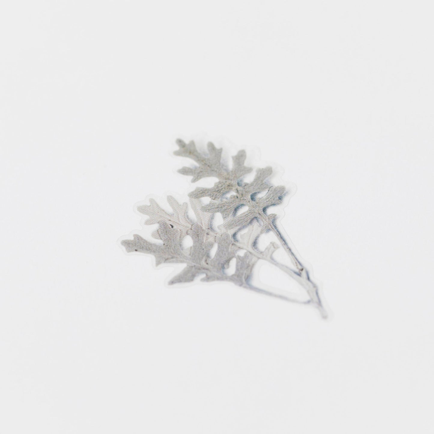 押し花シール ダスティーミラー