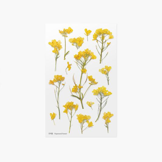 Appree 押し花シール 菜の花 (Pressed Flower Sticker APS-020)