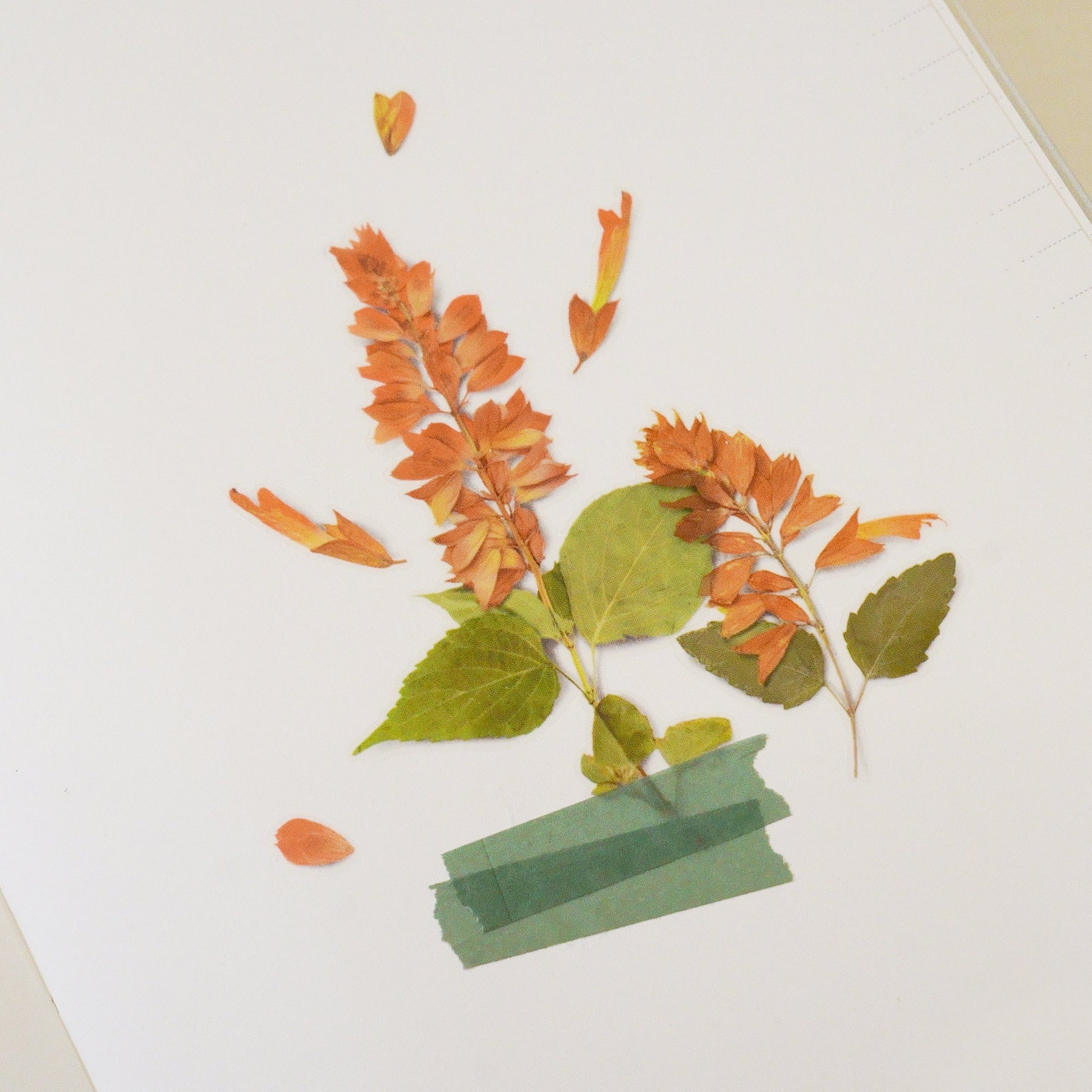 Appree 押し花シール サルビア (Pressed Flower Sticker APS-025)