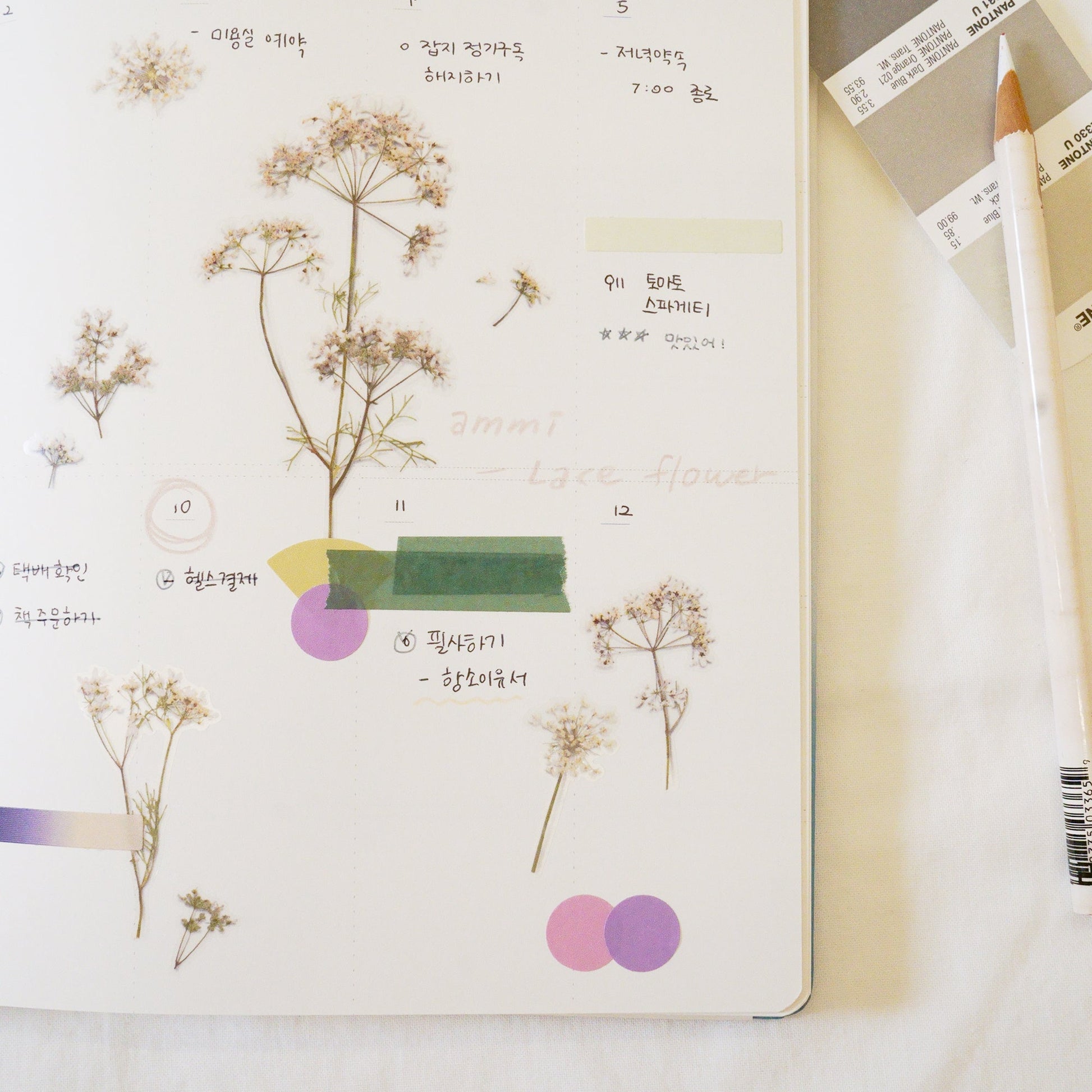 押し花シール レースフラワー Appree