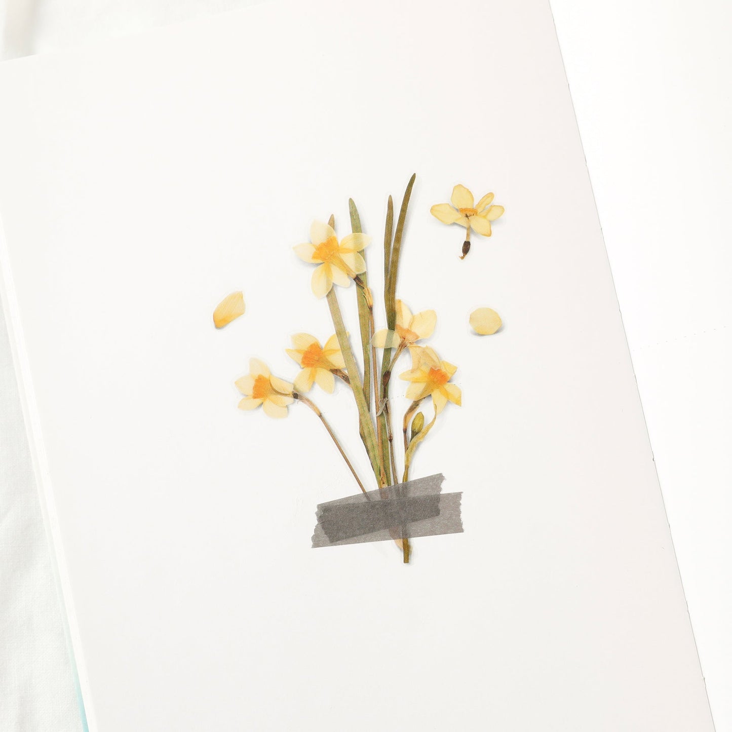 韓国シール 押し花シール 水仙 Appree