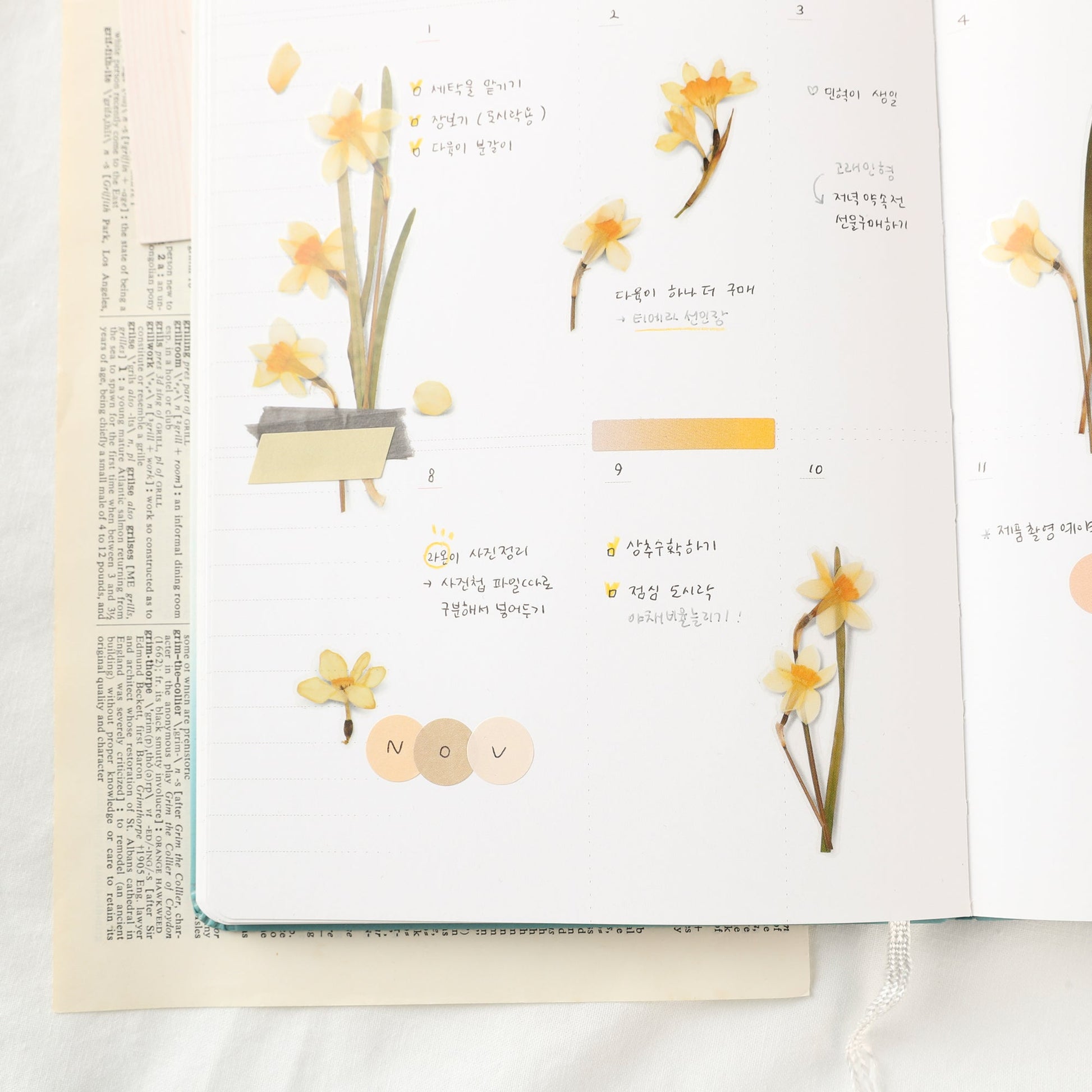 韓国シール 押し花シール 水仙 Appree