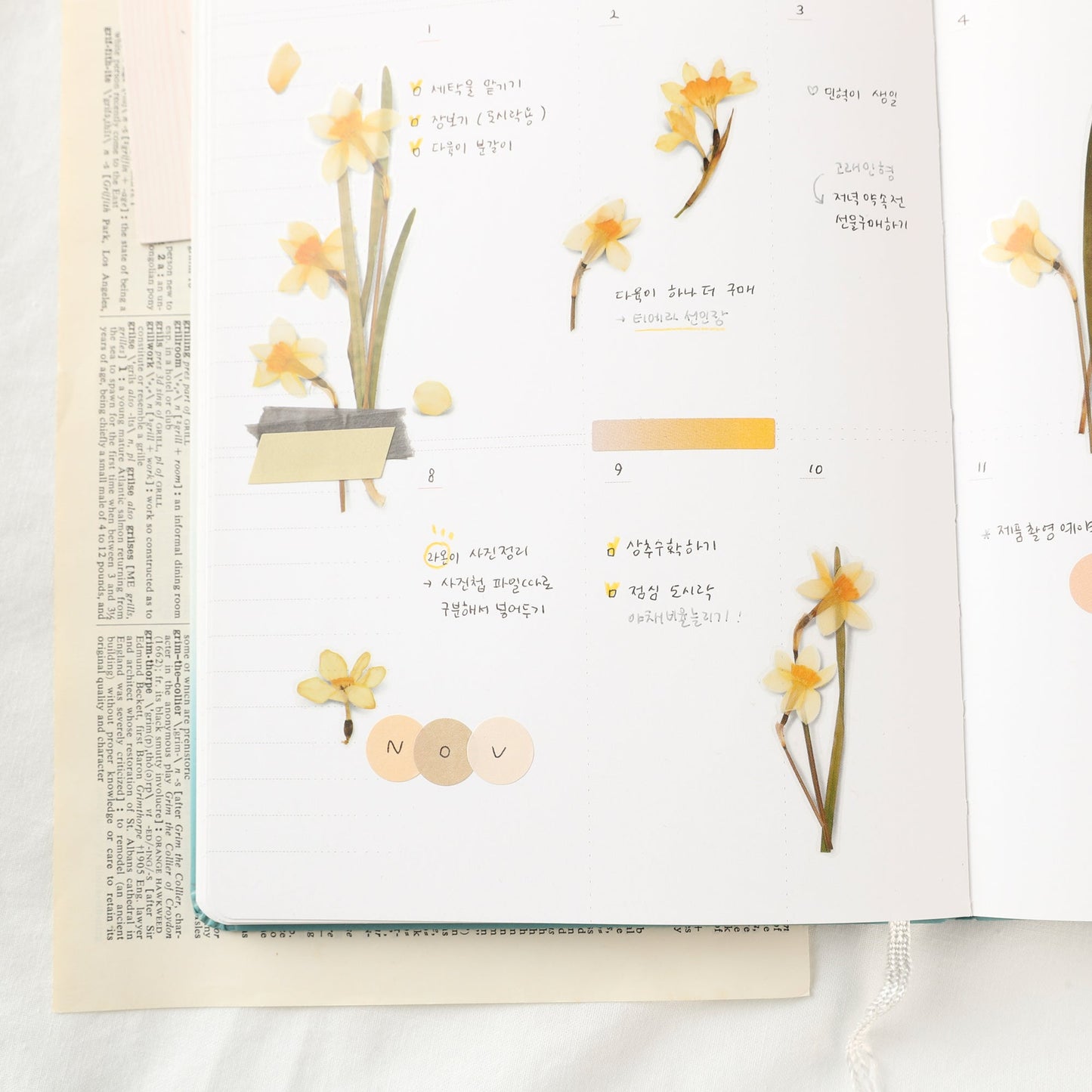 韓国シール 押し花シール 水仙 Appree