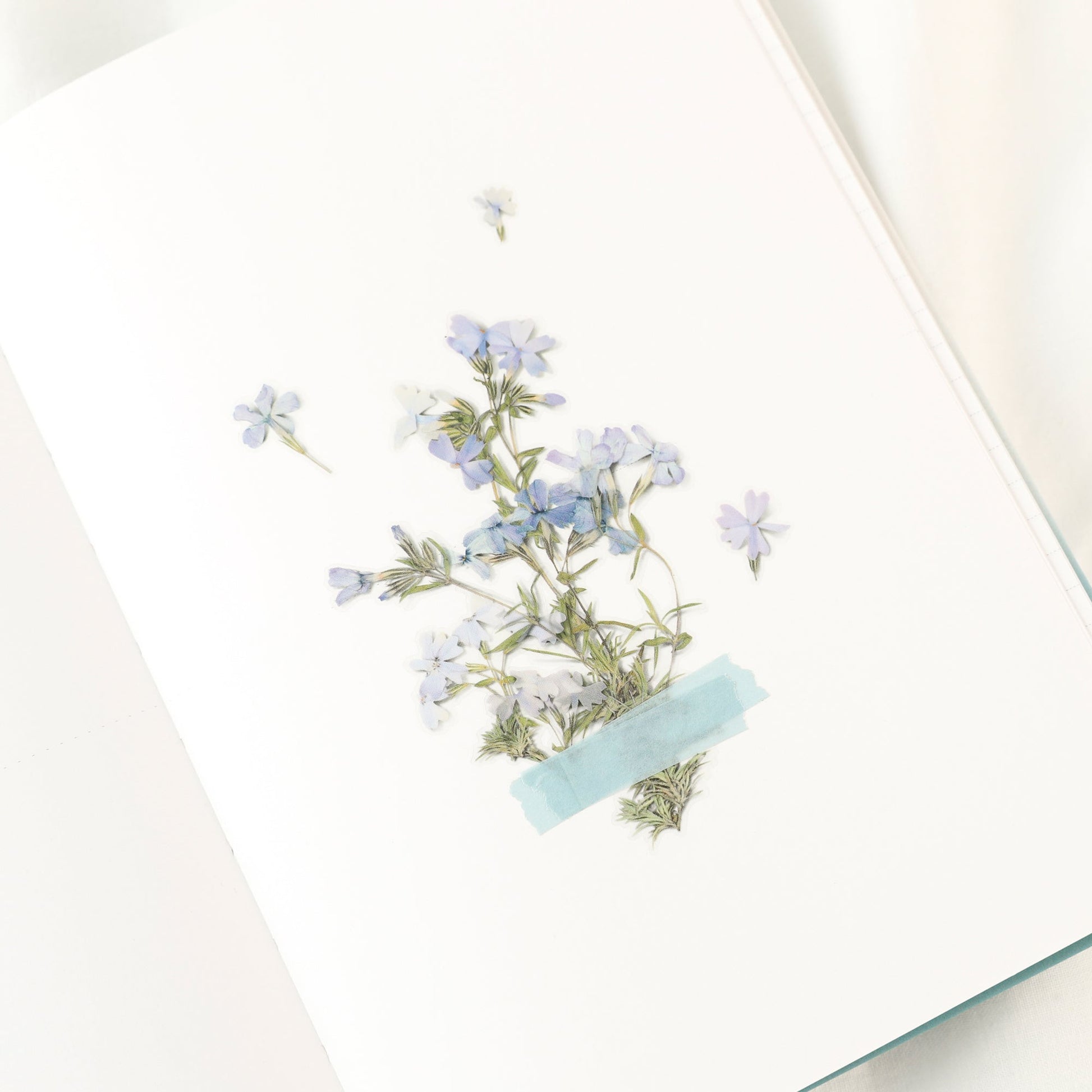 韓国シール 押し花シール 芝桜 Appree