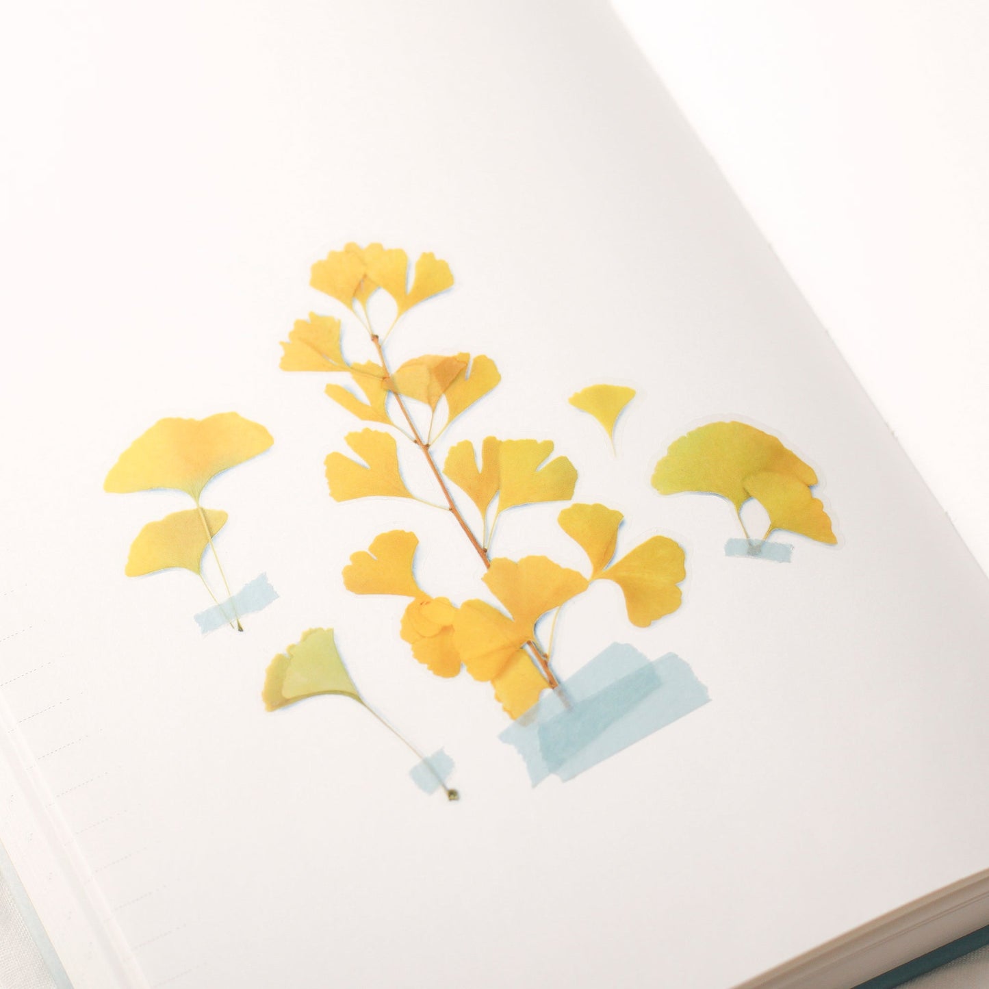 韓国シール 押し花シール イチョウ Appree
