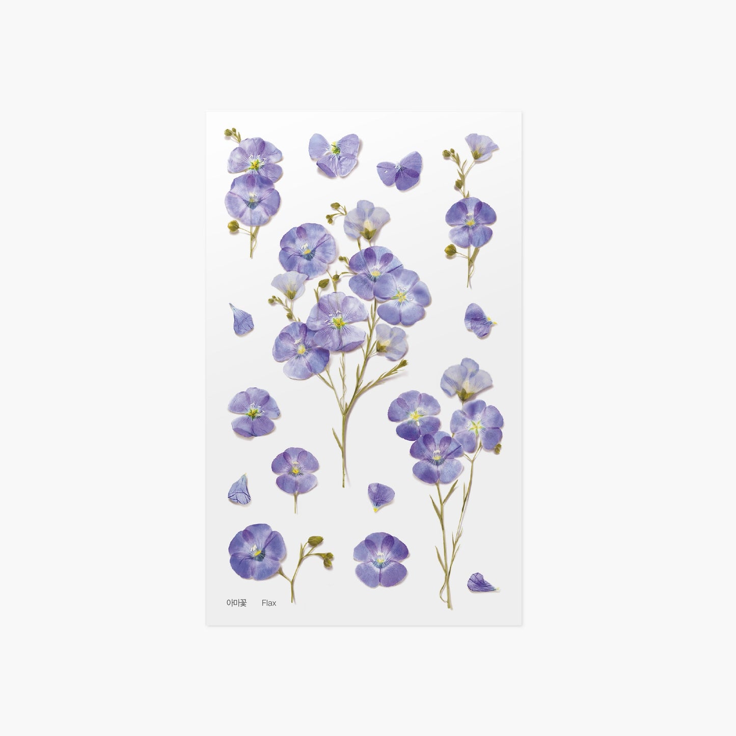 韓国シール 押し花シール フラックス Appree