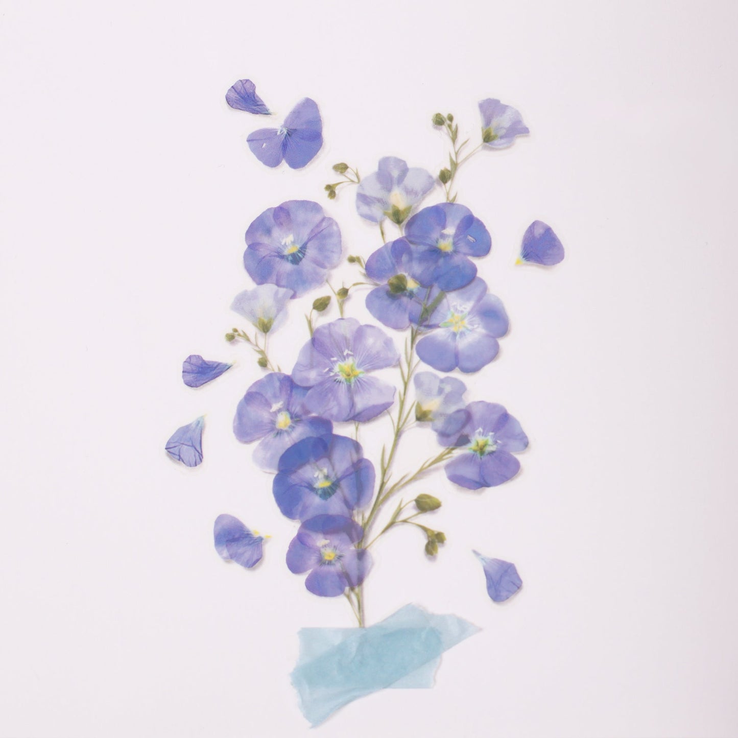 韓国シール 押し花シール フラックス Appree