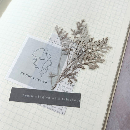 押し花シール ダスティーミラー Appree