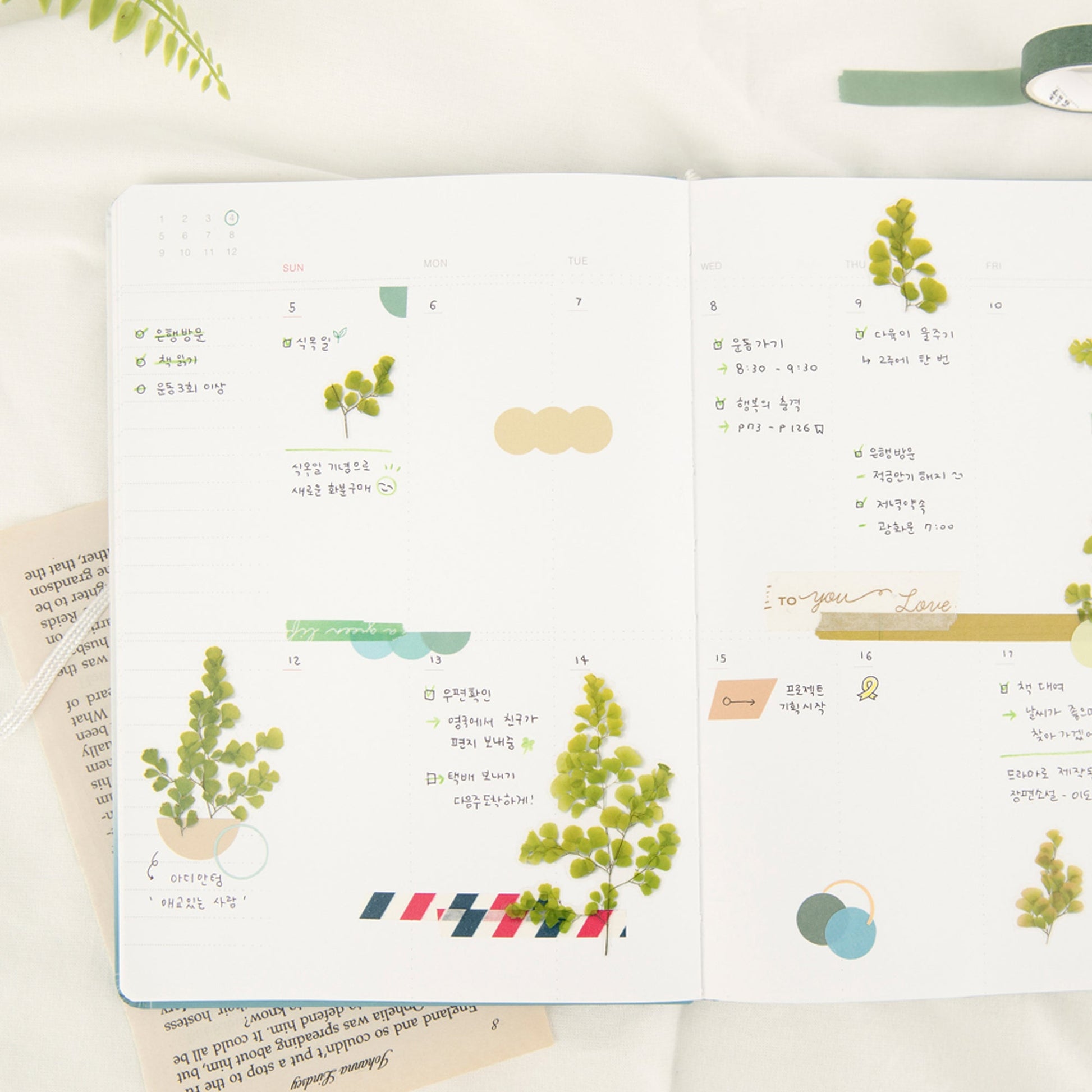 Appree 押し花シール アジアンタム (Pressed Flower Sticker APS-021)