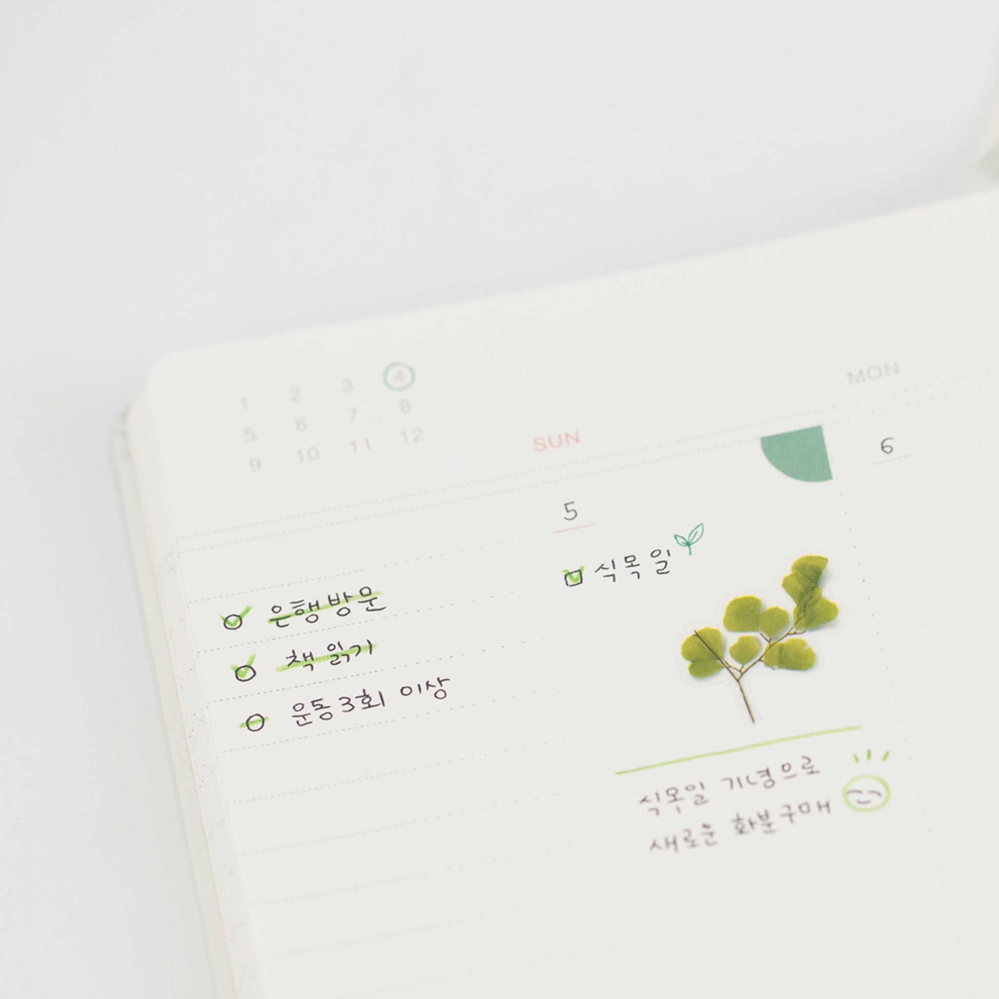 Appree 押し花シール アジアンタム (Pressed Flower Sticker APS-021)