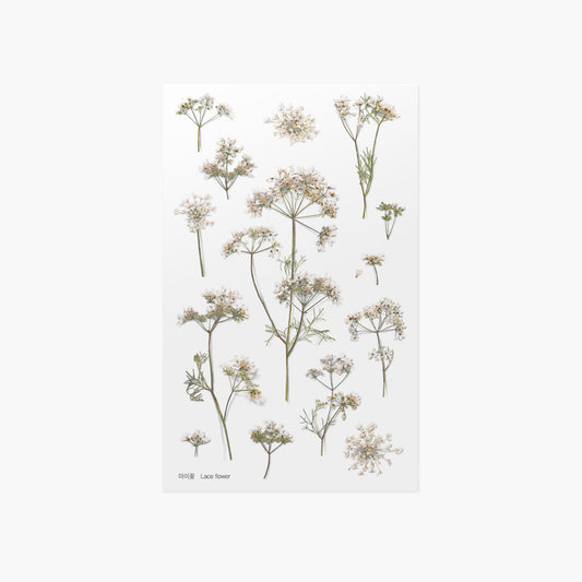 押し花シール レースフラワー Appree