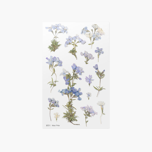 韓国シール 押し花シール 芝桜 Appree