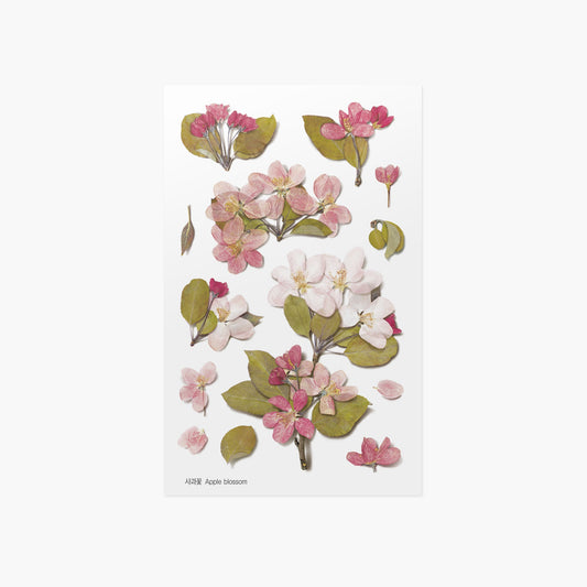 韓国シール 押し花シール りんごの花 Appree