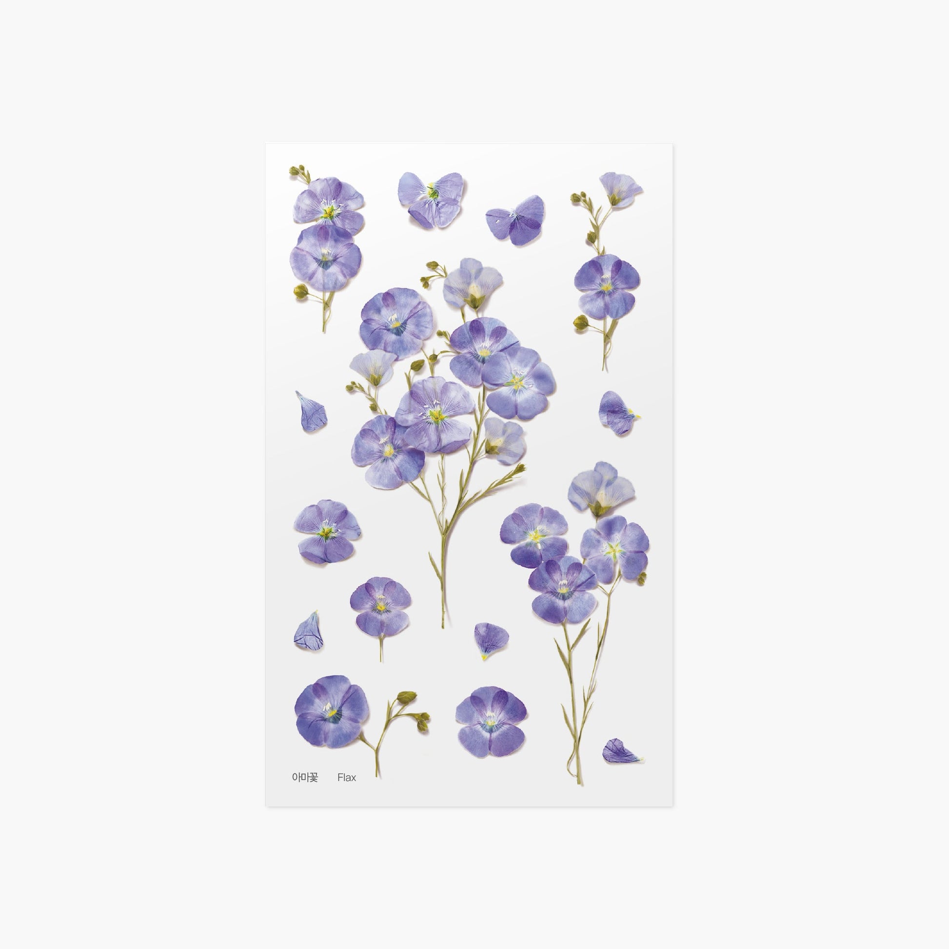 韓国シール 押し花シール フラックス Appree