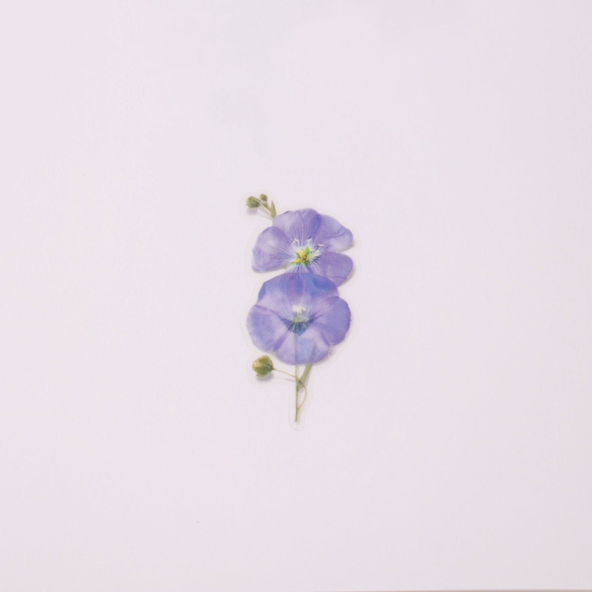 韓国シール 押し花シール フラックス Appree