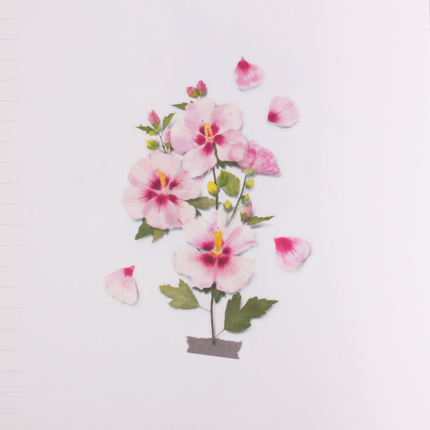 韓国シール 押し花シール ムクゲ Appree