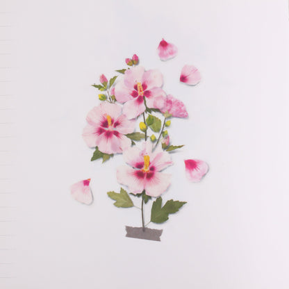 韓国シール 押し花シール ムクゲ Appree
